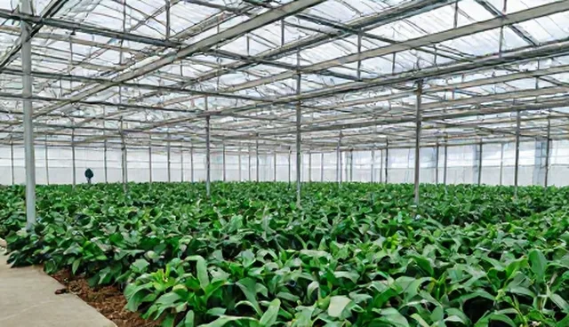 个性化康复方案在不同场景下的适用性分析